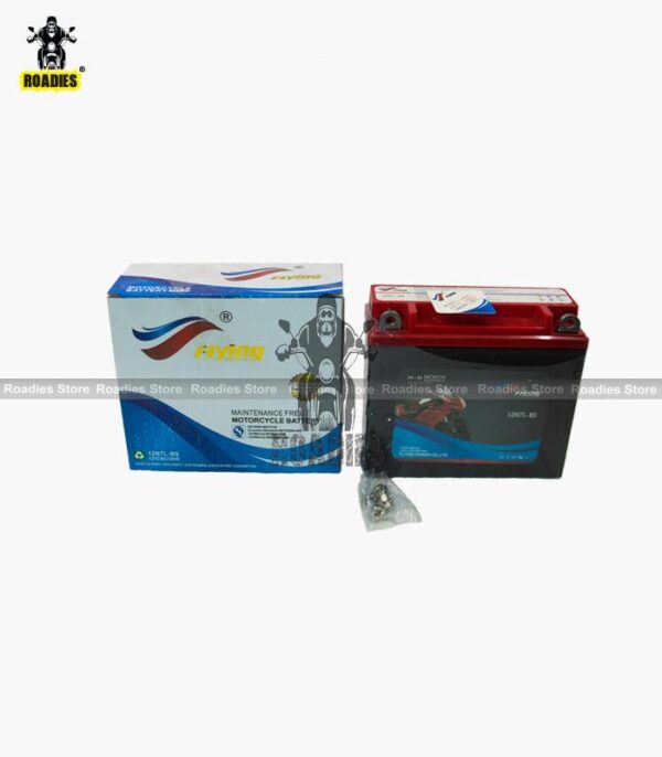 motorcycle dry battery