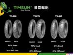 Timsun Tubless Tyre 160-60-17 TS-880R