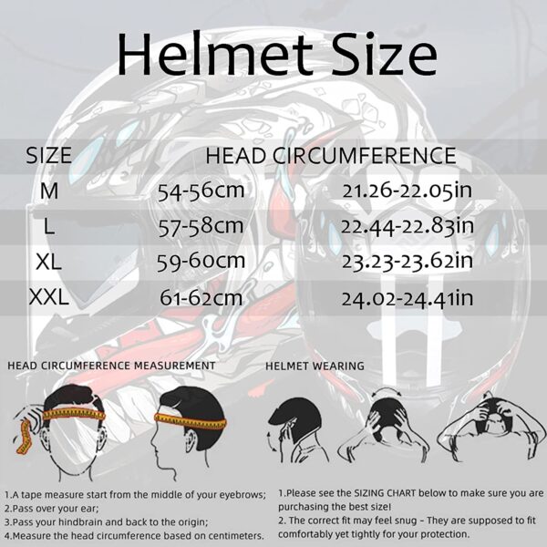 FASEED FX-817 Godzilla Titanium Full Face Dual Visor Pinlock Ready Motorcycle Helmet