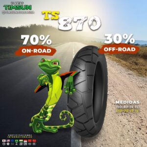 Timsun Tubeless Tyre 170-60-17 TS-870